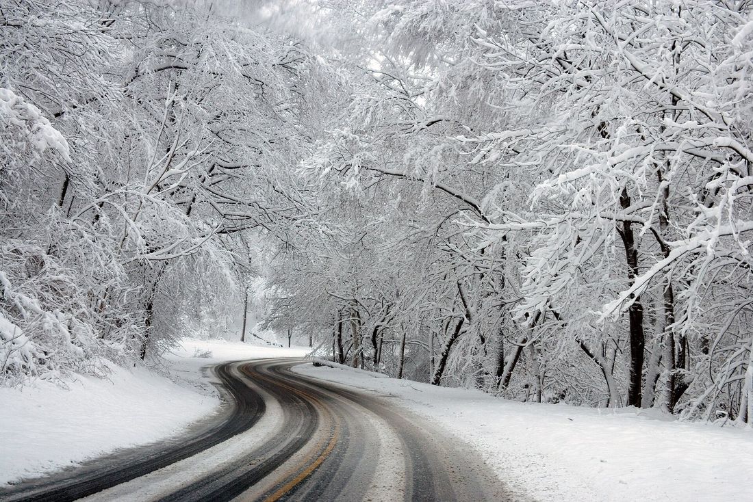 A snowy road through Rock Creek Park in Washington, D.C.